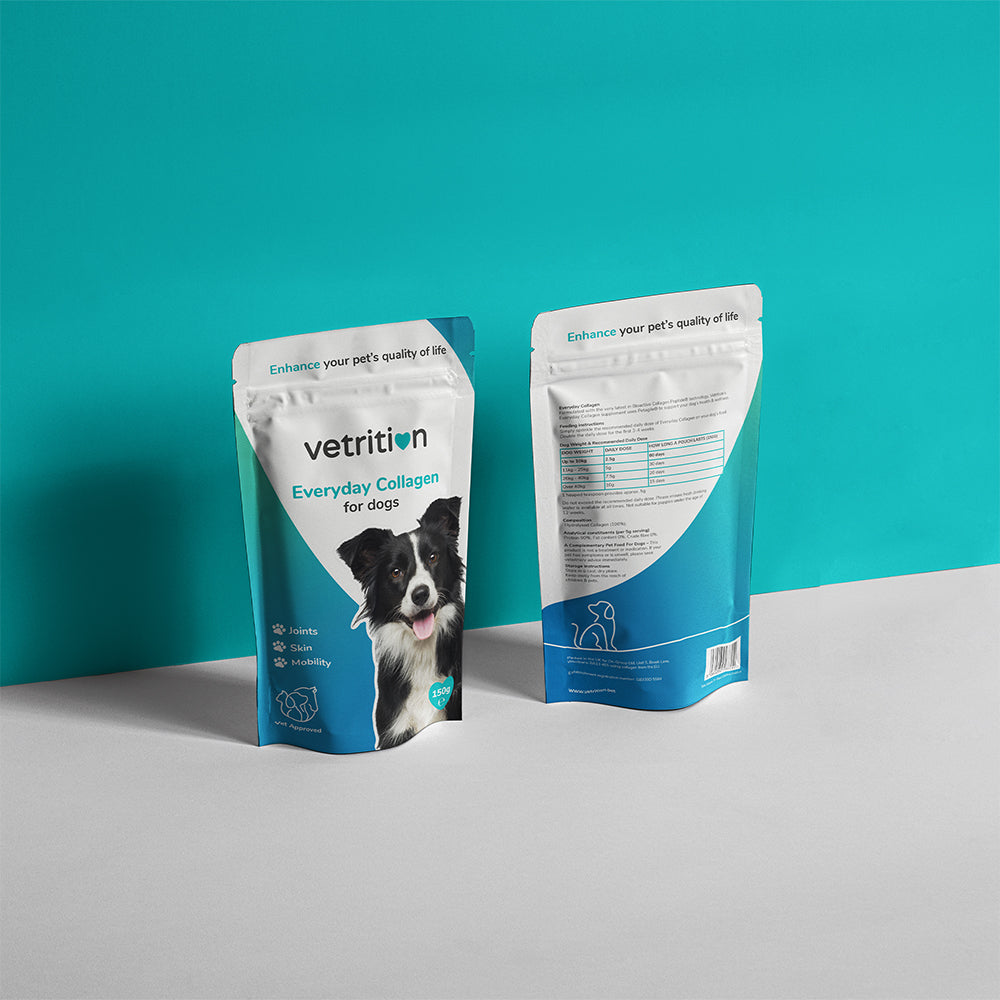 Collagen for dogs sales joints