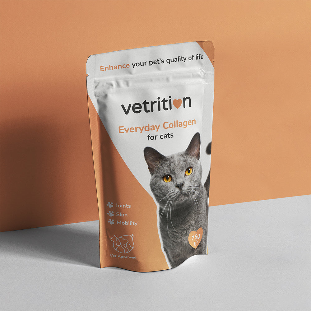 Everyday Collagen for cats
