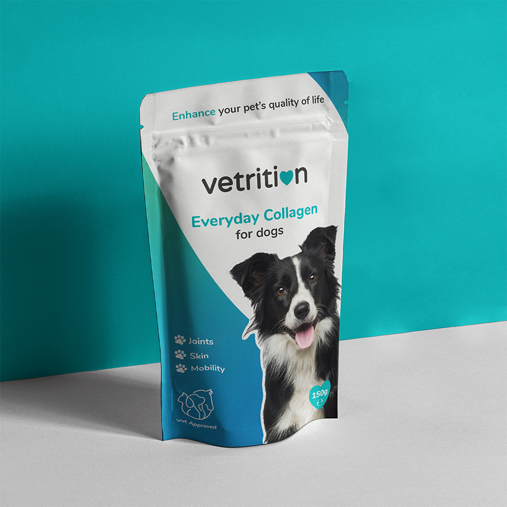 Everyday Collagen for dogs