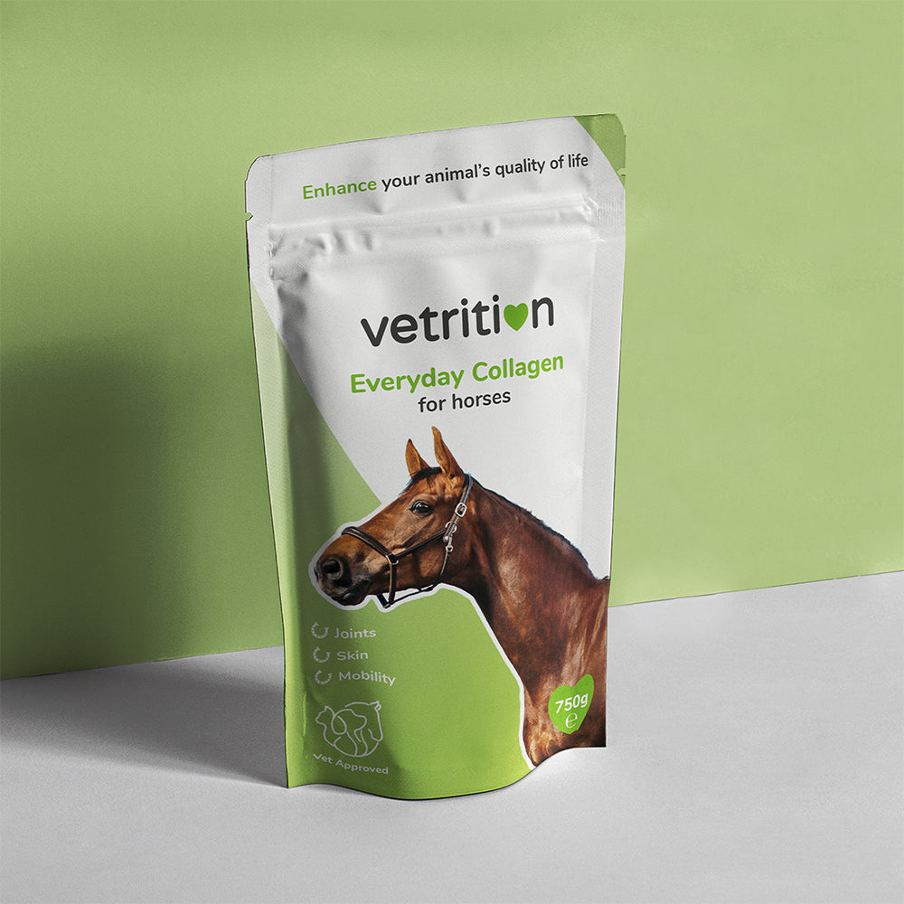 Everyday Collagen for horses